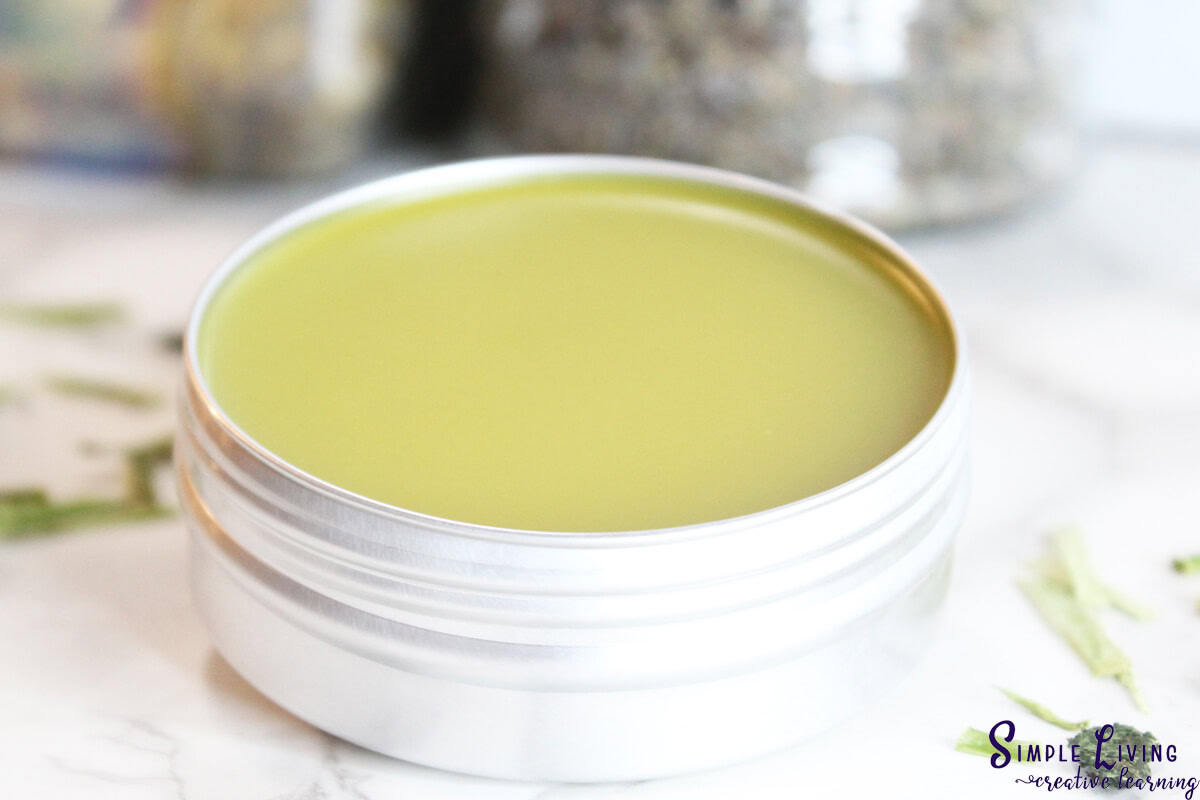Homemade Jewelweed Salve in a tin ready to use