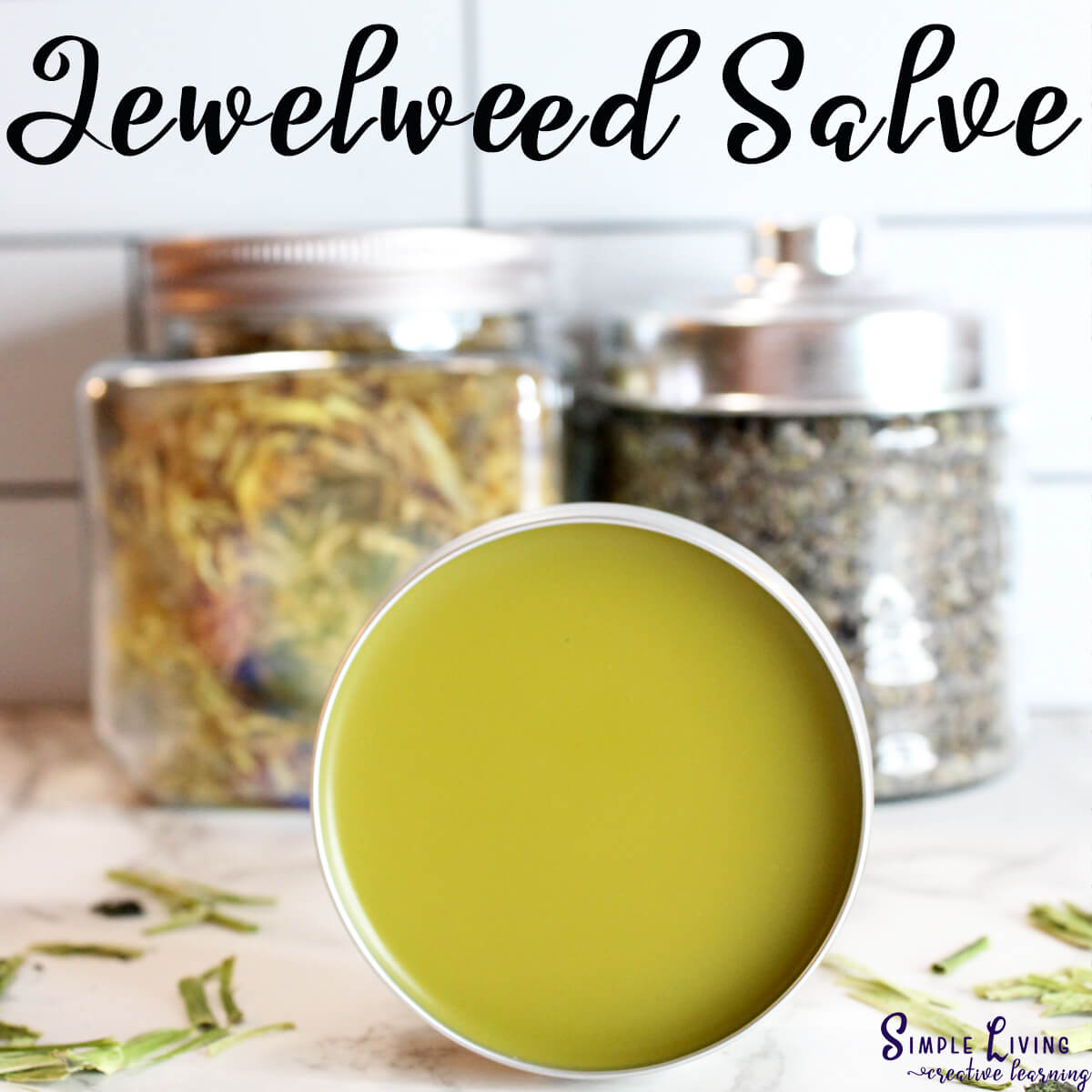 Homemade Jewelweed Salve in a tin