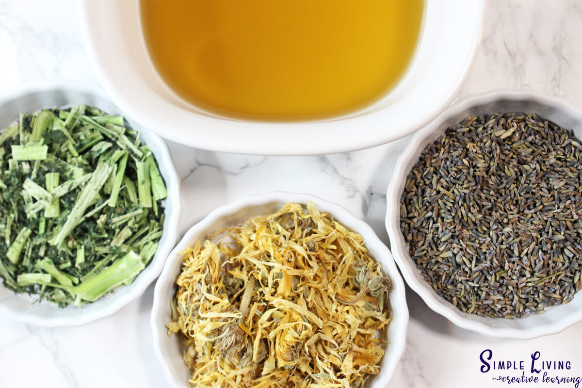 Homemade Jewelweed Salve infused oil ingredients