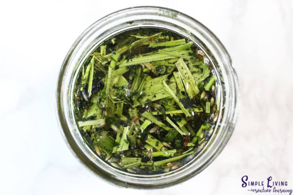 Homemade Jewelweed Salve infused oil dried ingredients covered in oil