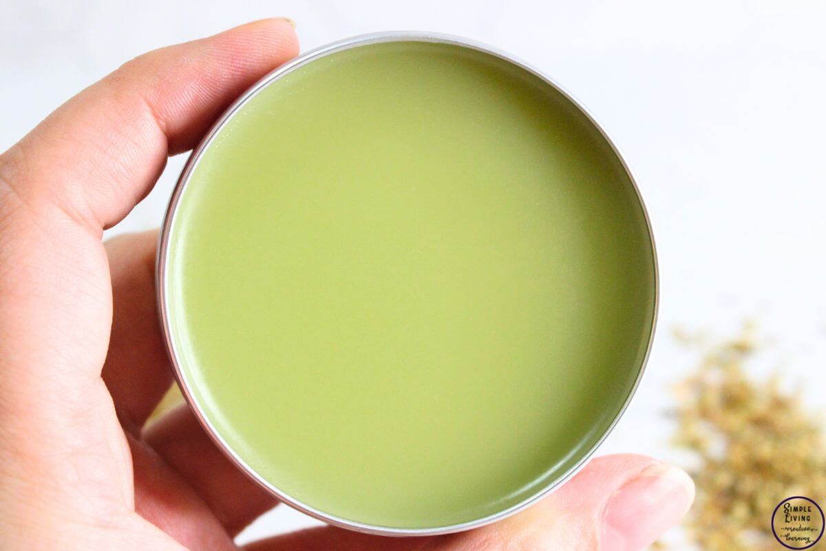 Homemade Oregano Salve hand holding the container