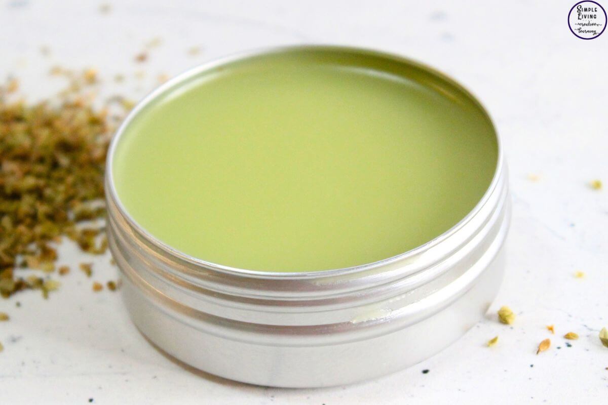 Homemade Oregano Salve in a tin
