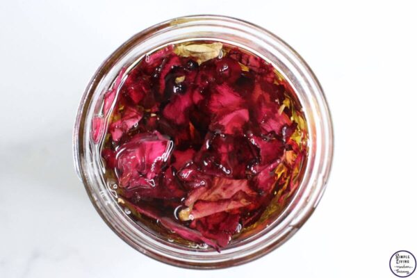 Rose Tallow Face Cream making rose infused oil