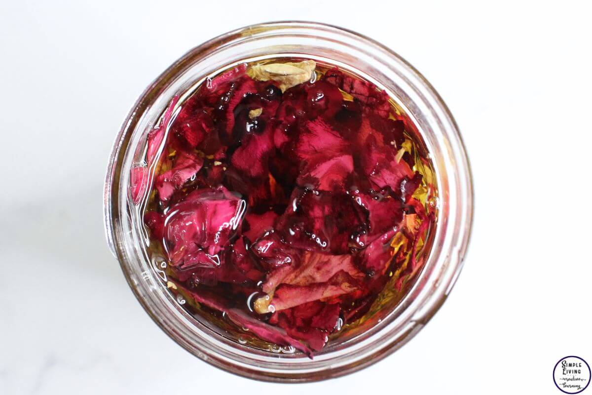 Rose Tallow Face Cream making rose infused oil
