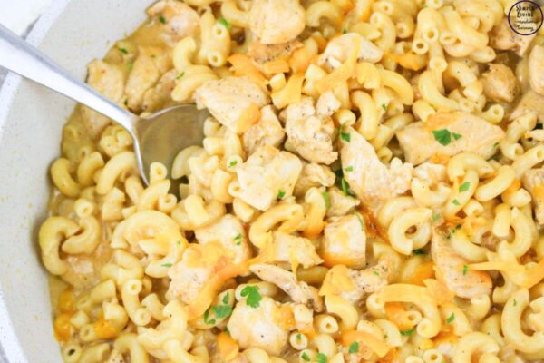 Chicken Macaroni and Cheese in pan ready to serve