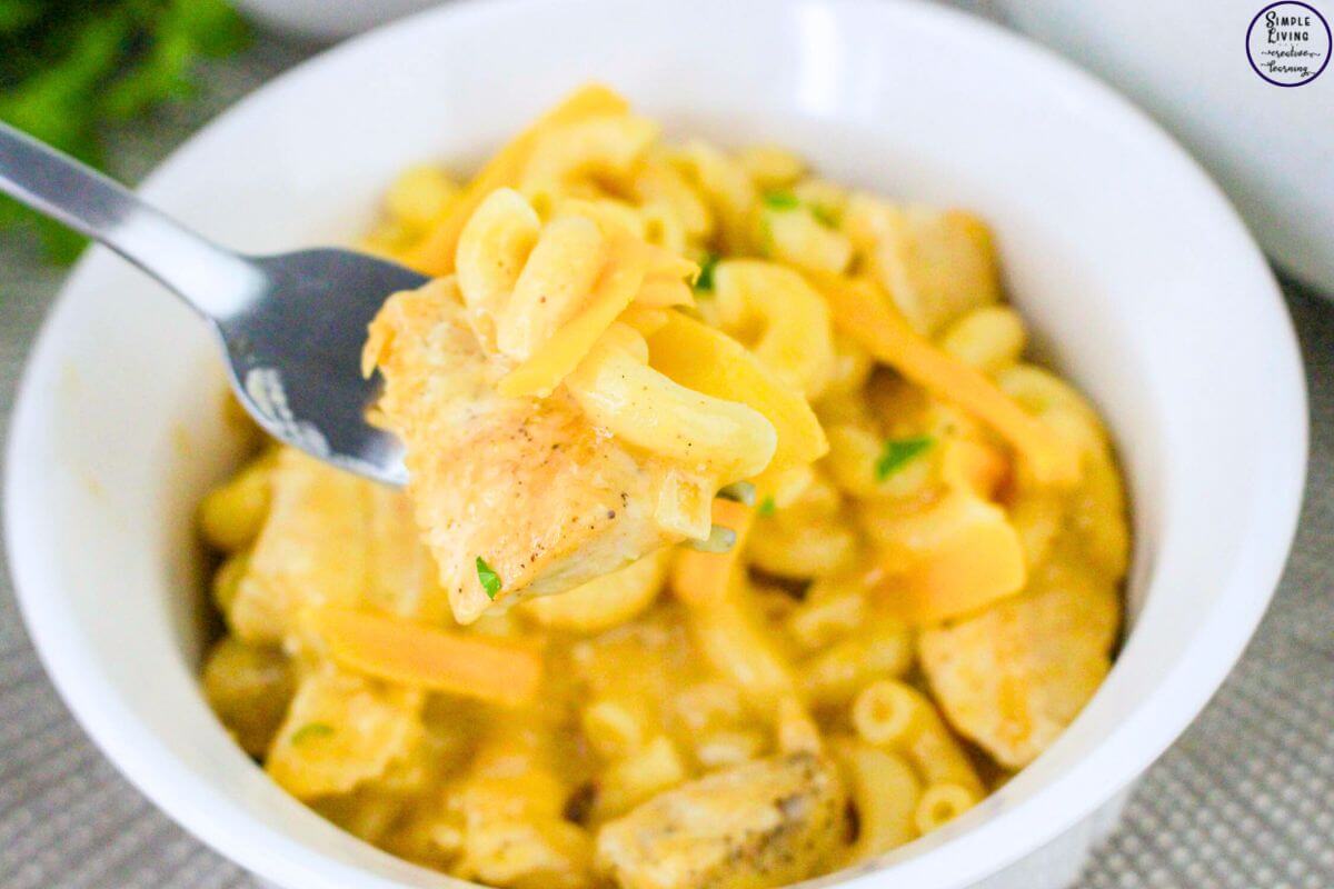 Chicken Macaroni and Cheese some on a fork