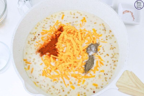 Chicken Macaroni and Cheese adding the cheese and seasonings