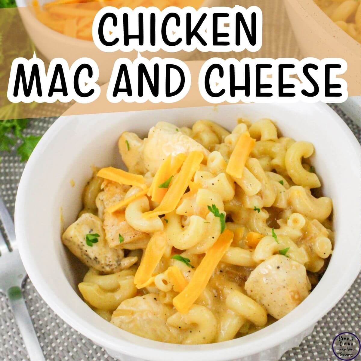 Chicken Macaroni and Cheese in a white bowl