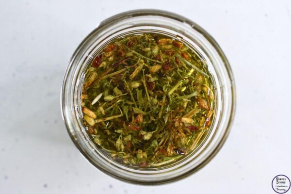 St. John's Wort Salve adding carrier oil to make infused oil
