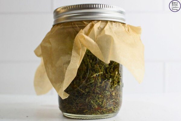 St. John's Wort Salve adding lid to infuse oil