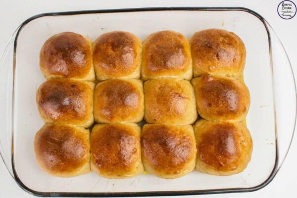 Whole Wheat Dinner Rolls baked