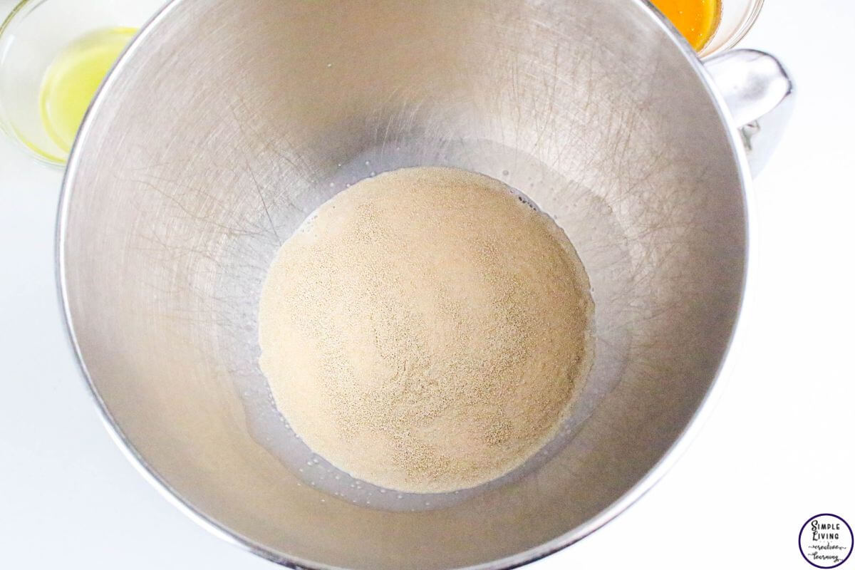 Whole Wheat Dinner Rolls mixing yeast and milk