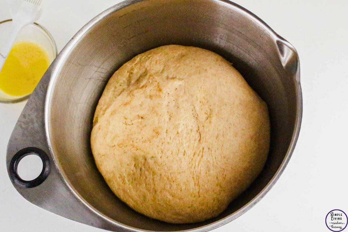 Whole Wheat Dinner Rolls risen