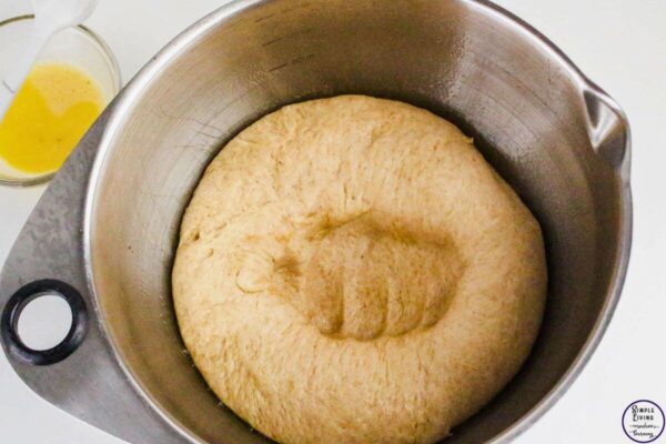 Whole Wheat Dinner Rolls punch down dough