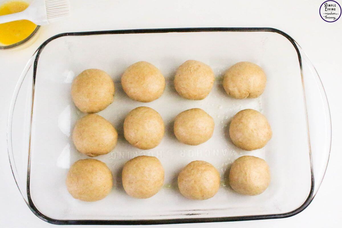 Whole Wheat Dinner Rolls in a dish ready for second rise