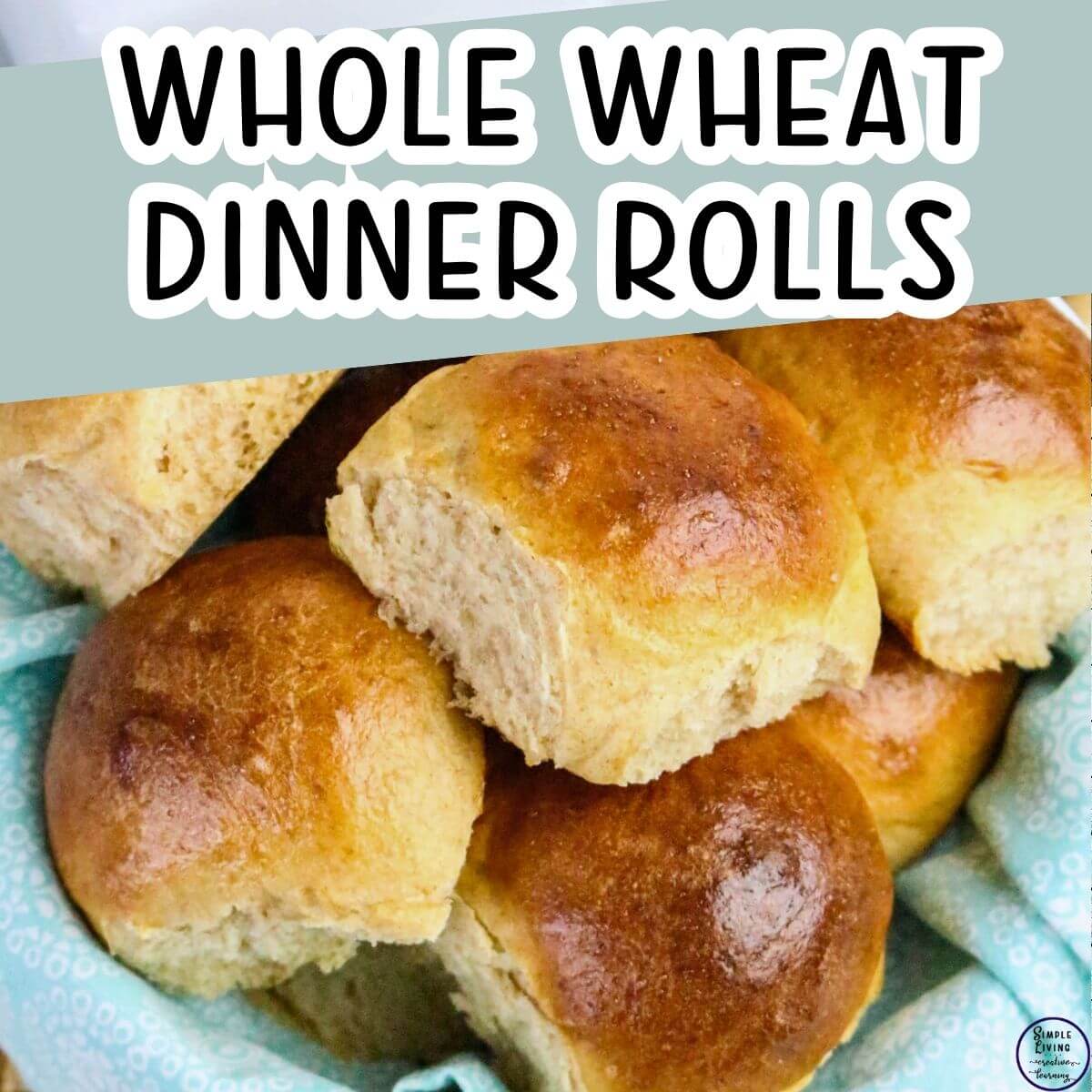 Whole Wheat Dinner Rolls in a bowl