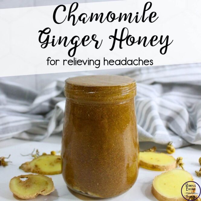 Chamomile Ginger Honey for Relieving Headaches in a glass jar