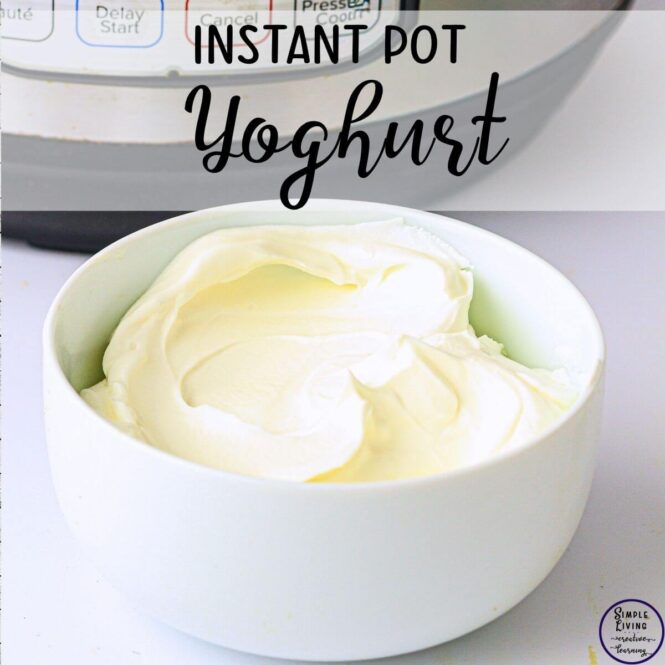 Homemade Instant Pot Yoghurt Recipe in a white bowl