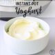 Homemade Instant Pot Yoghurt Recipe in a white bowl