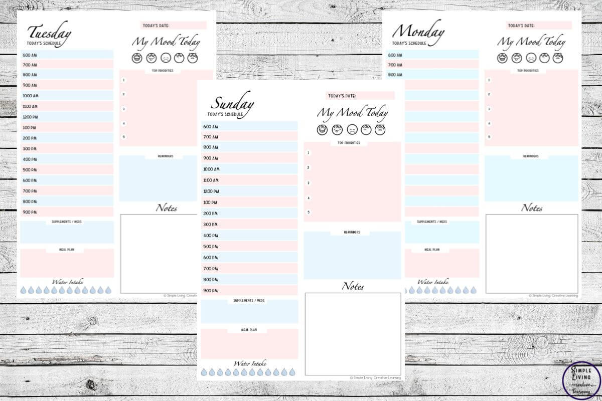 Printable Productivity Planner three different pages