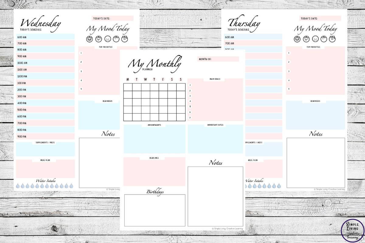 Printable Productivity Planner three pages