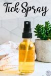 Homemade Tick Spray