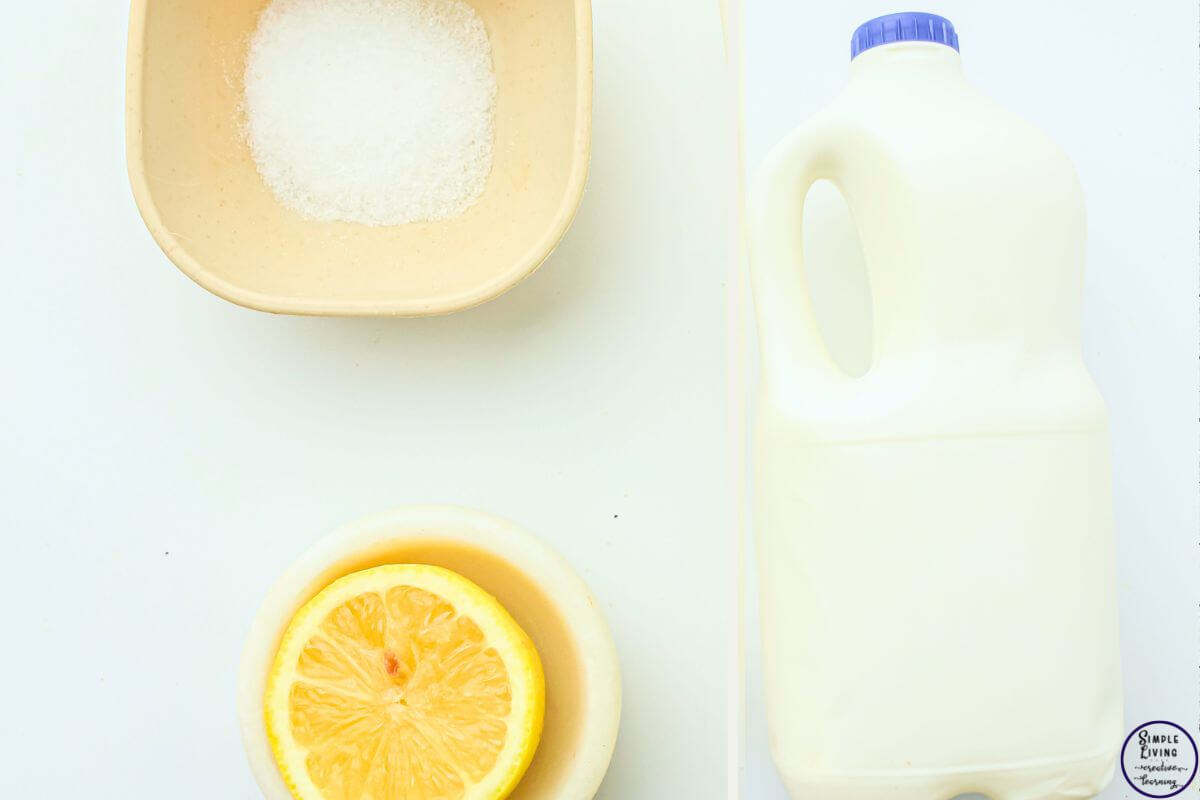 Homemade Cream Cheese Recipe ingredients