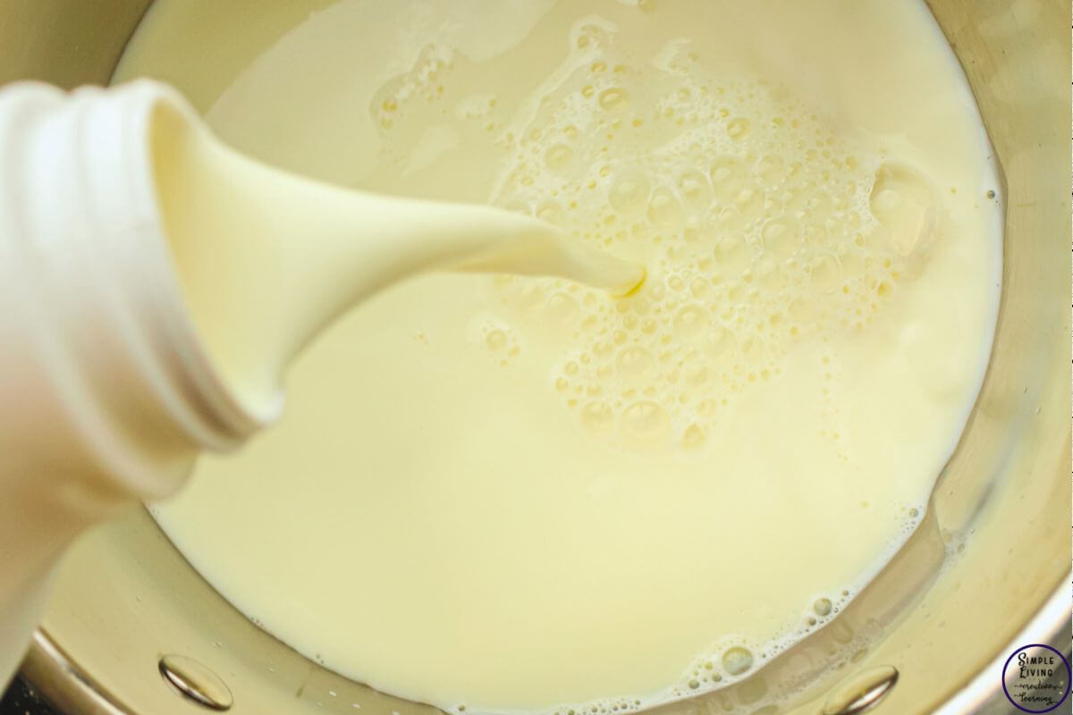 Homemade Cream Cheese Recipe pouring milk into saucepan