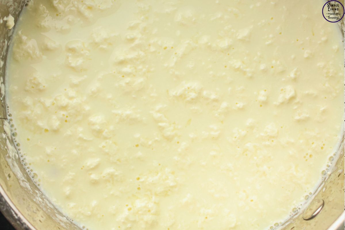 Homemade Cream Cheese Recipe curdling