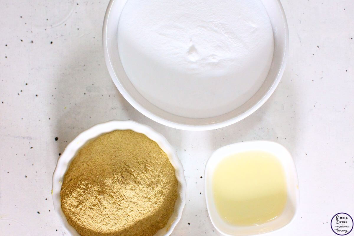 Homemade Lemon Sink Cleaner ingredients