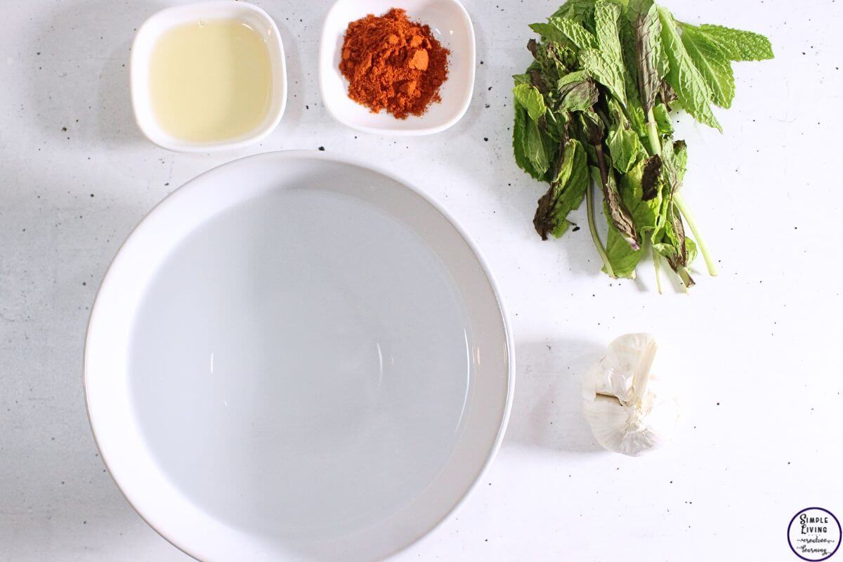 Herbal Garden Pest Spray ingredients