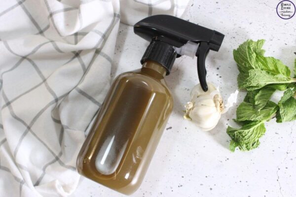 Herbal Garden Pest Spray ready to use
