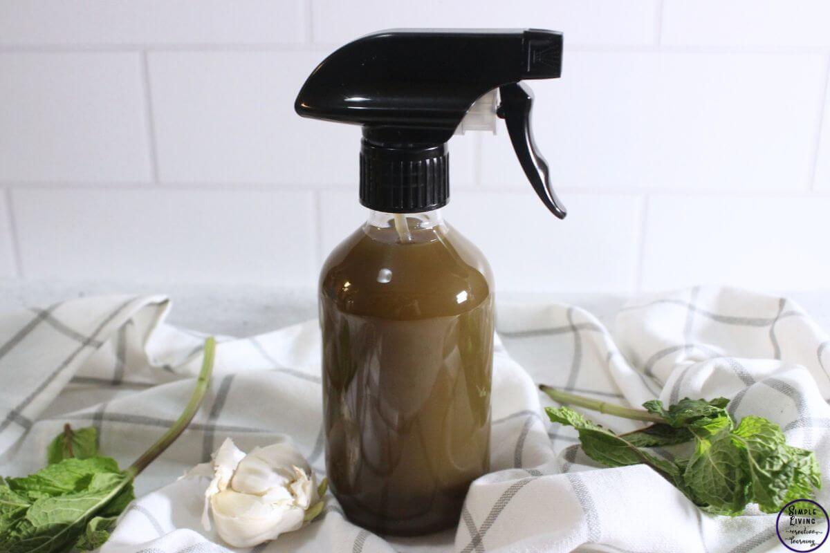 Herbal Garden Pest Spray in a glass spray bottle