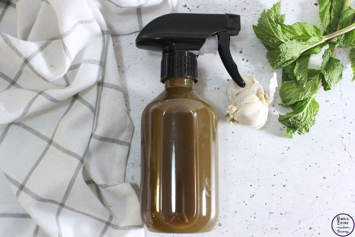Herbal Garden Pest Spray in a bottle laying down