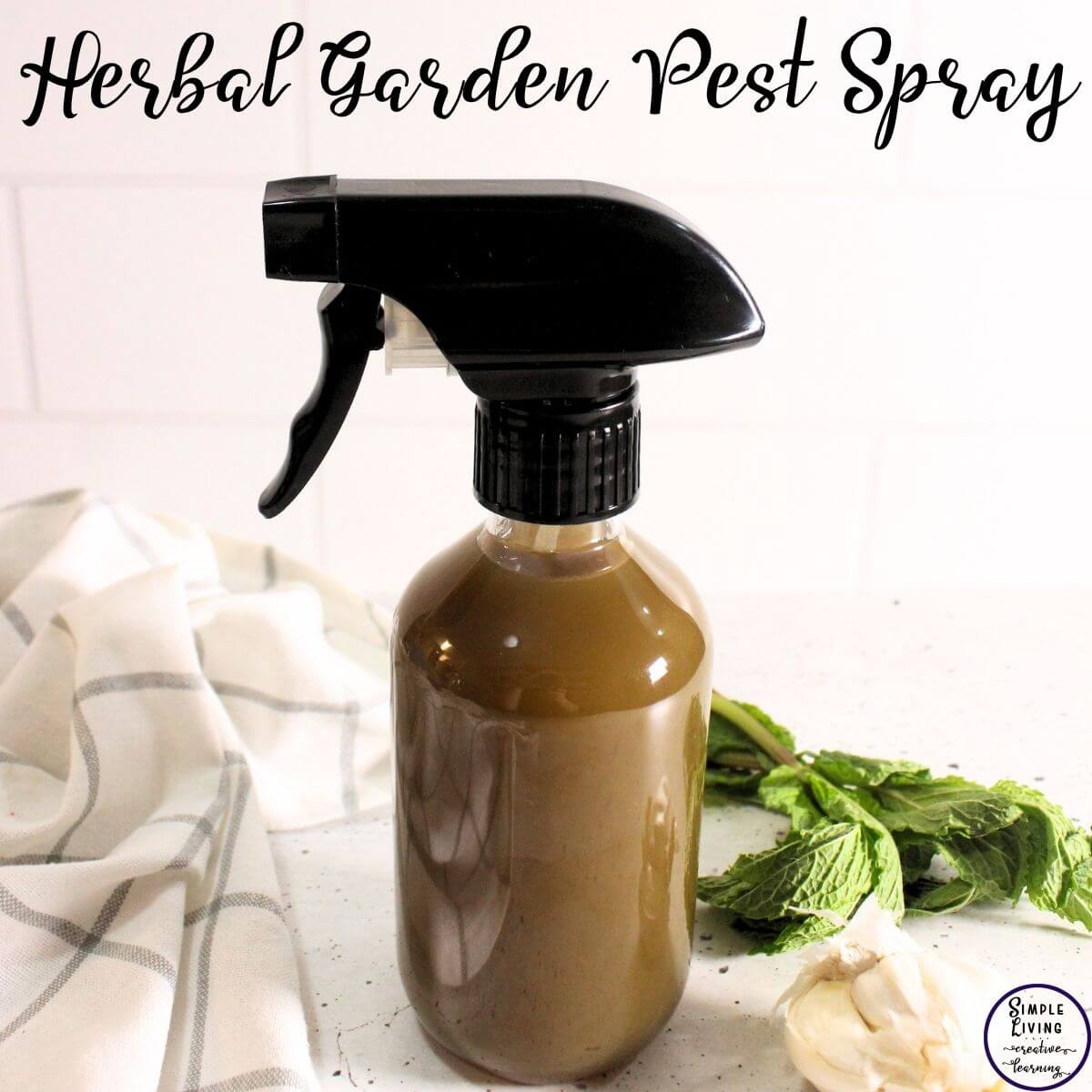 Herbal Garden Pest Spray in a glass spray bottle