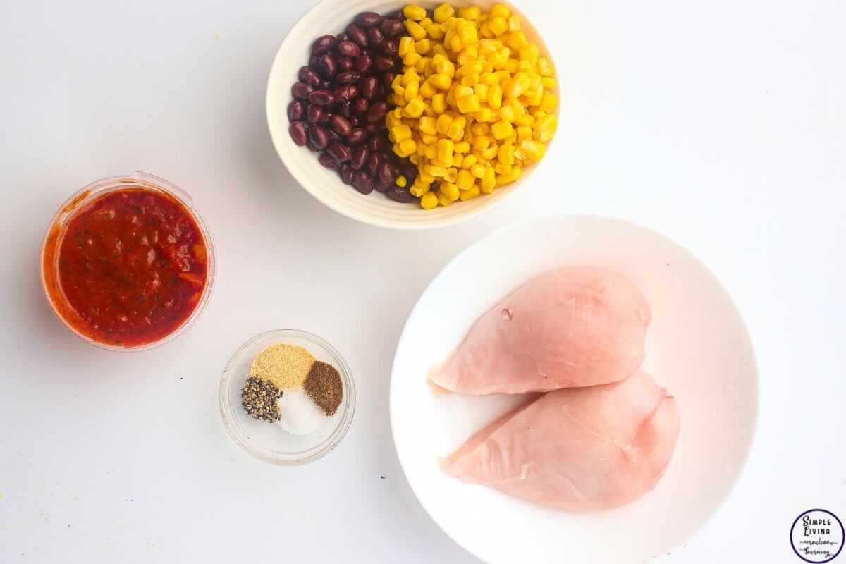 Slow Cooker Salsa Chicken {Dump & Go Freezer Meal} ingredients