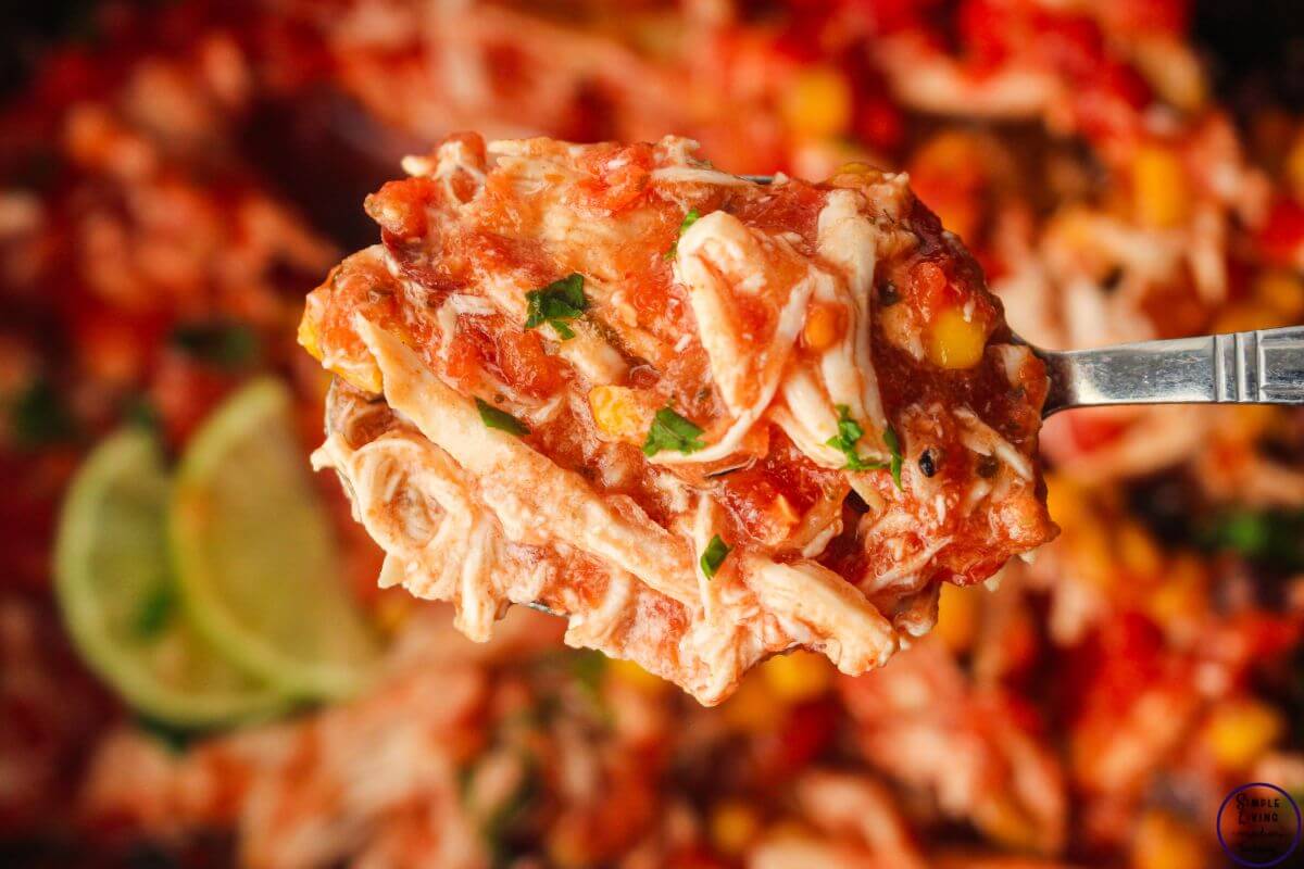 Slow Cooker Salsa Chicken {Dump & Go Freezer Meal} on a fork