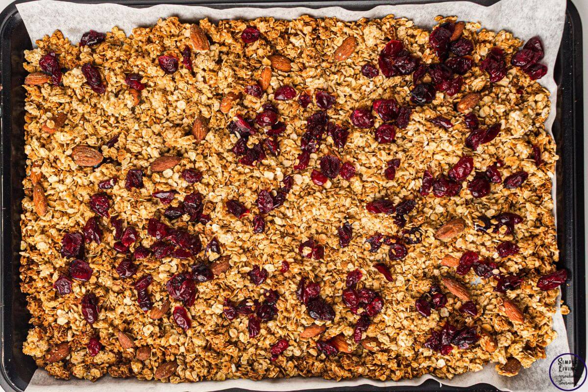 Homemade Granola Recipe cranberries added