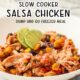 Slow Cooker Salsa Chicken {Dump & Go Freezer Meal} in a white bowl