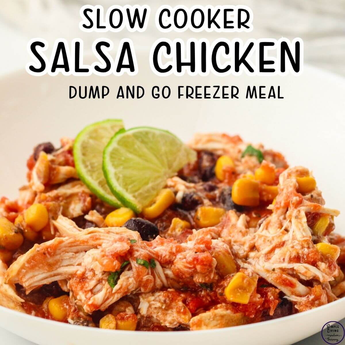 Slow Cooker Salsa Chicken {Dump & Go Freezer Meal} in a white bowl