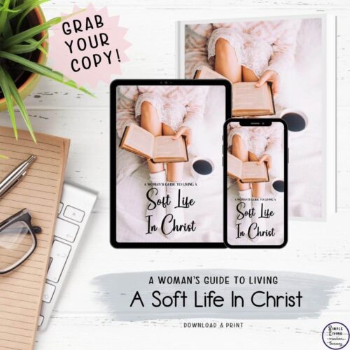 A Woman's Guide to Living A Soft Life in Christ ebook