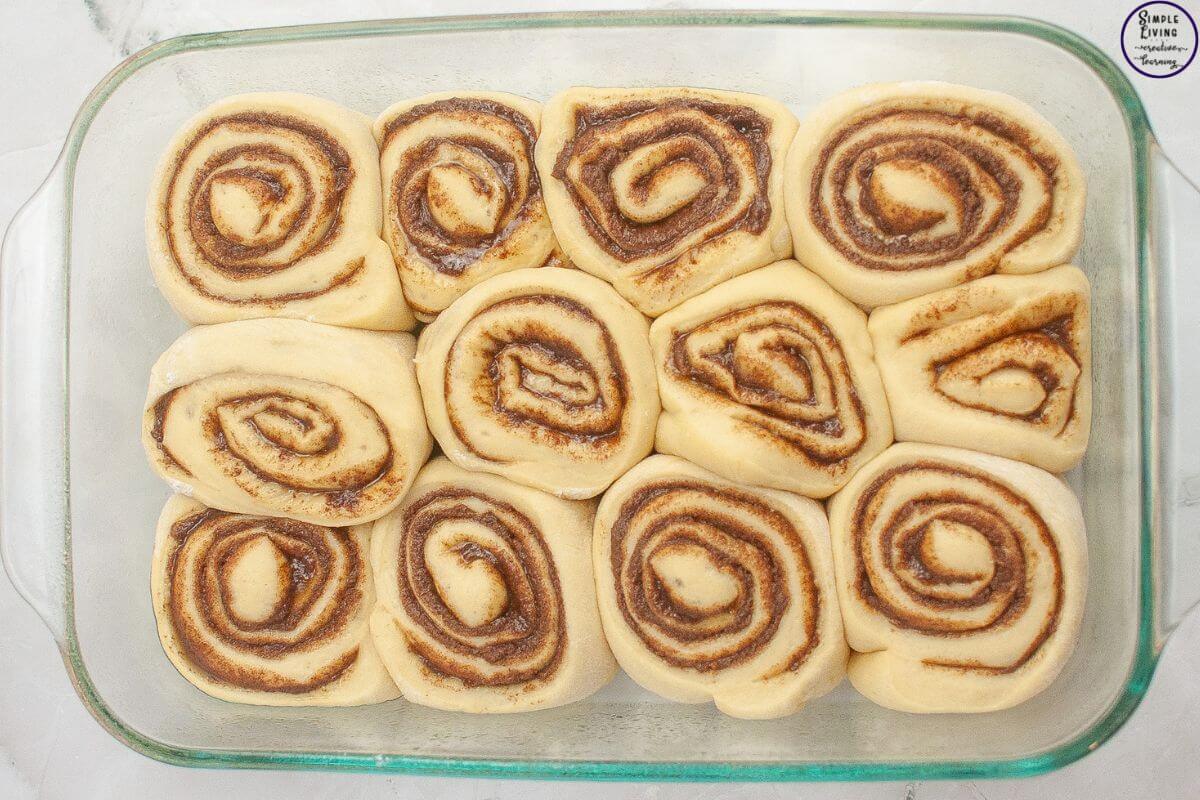 Overnight Sourdough Cinnamon Rolls Recipe placing in prepared tray