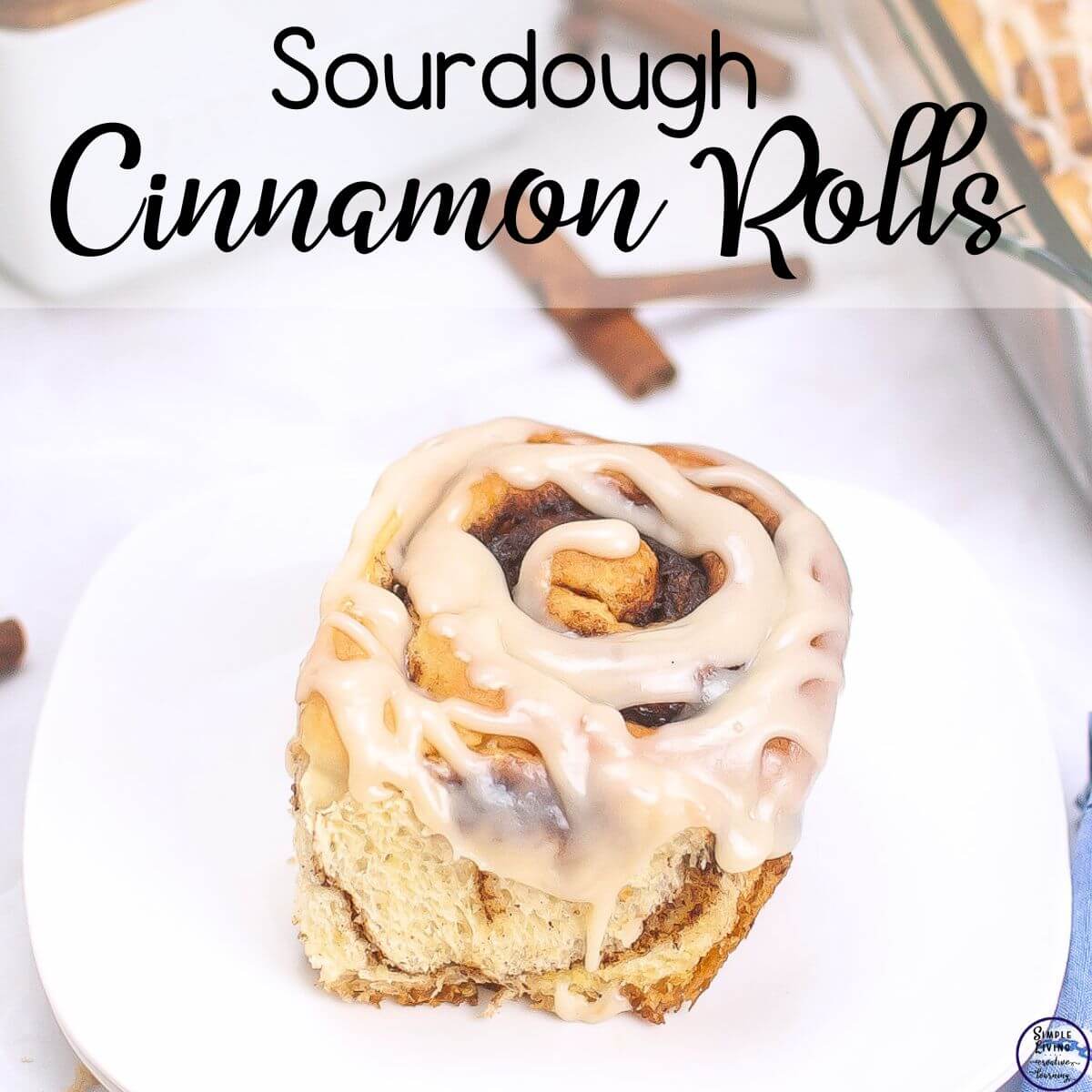 Overnight Sourdough Cinnamon Rolls Recipe on a plate