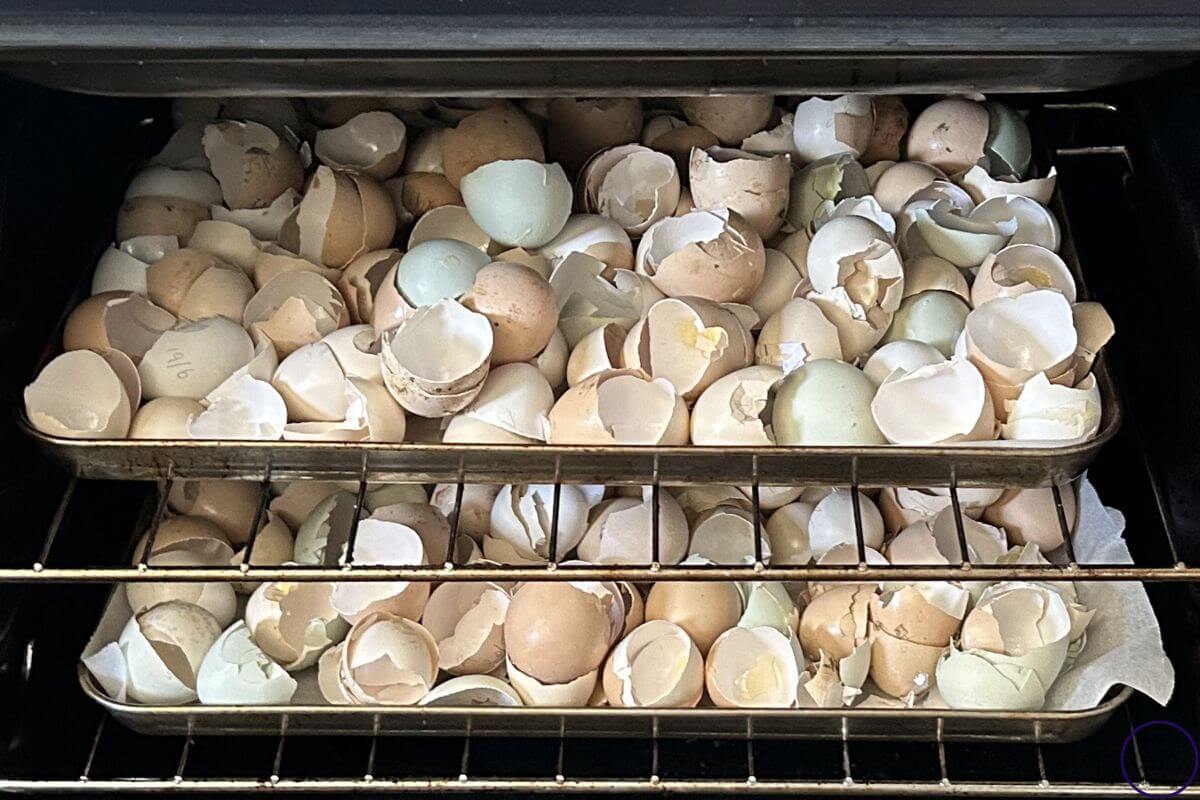 Ways to Use Eggshells baking in the oven
