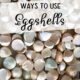 Ways to Use Eggshells lots of eggshells on a tray