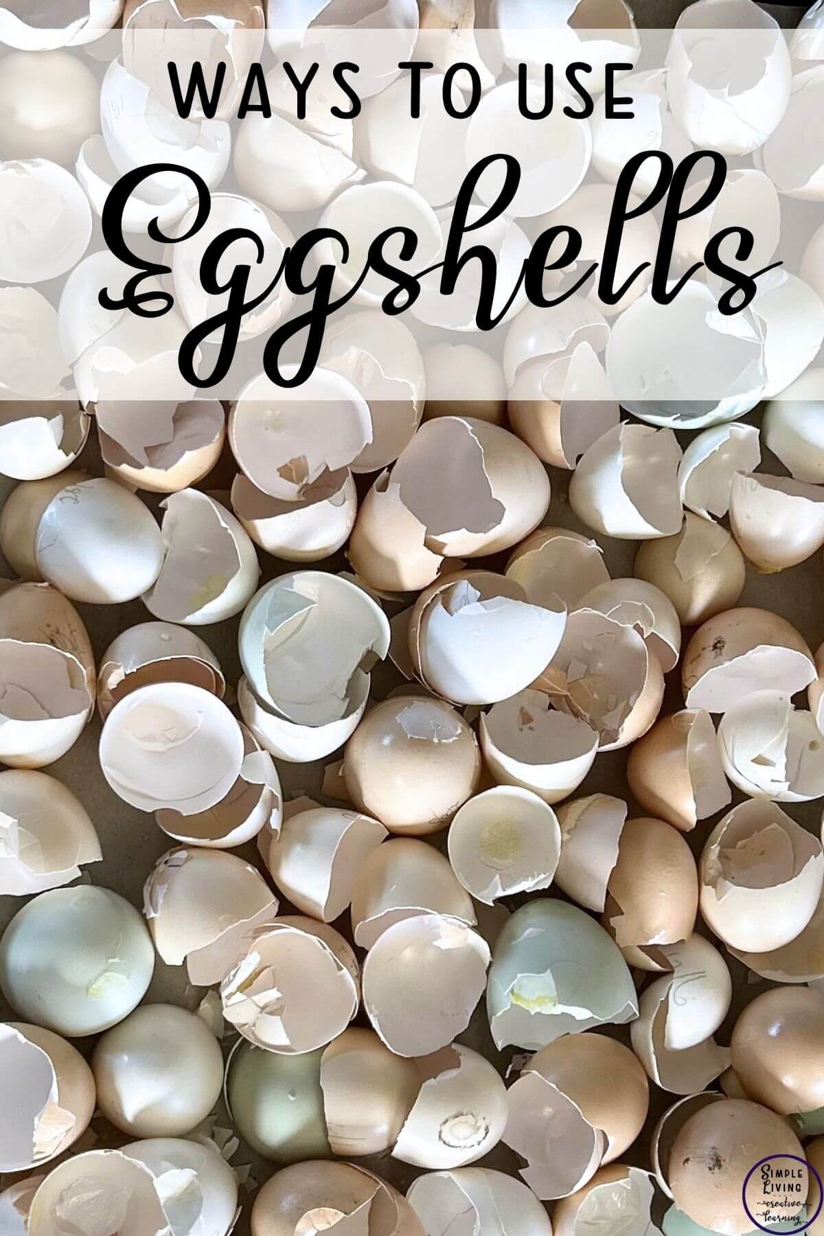 Ways to Use Eggshells