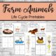 Farm Animals Life Cycle Printables four colour pages