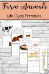 Farm Animals Life Cycle Printables