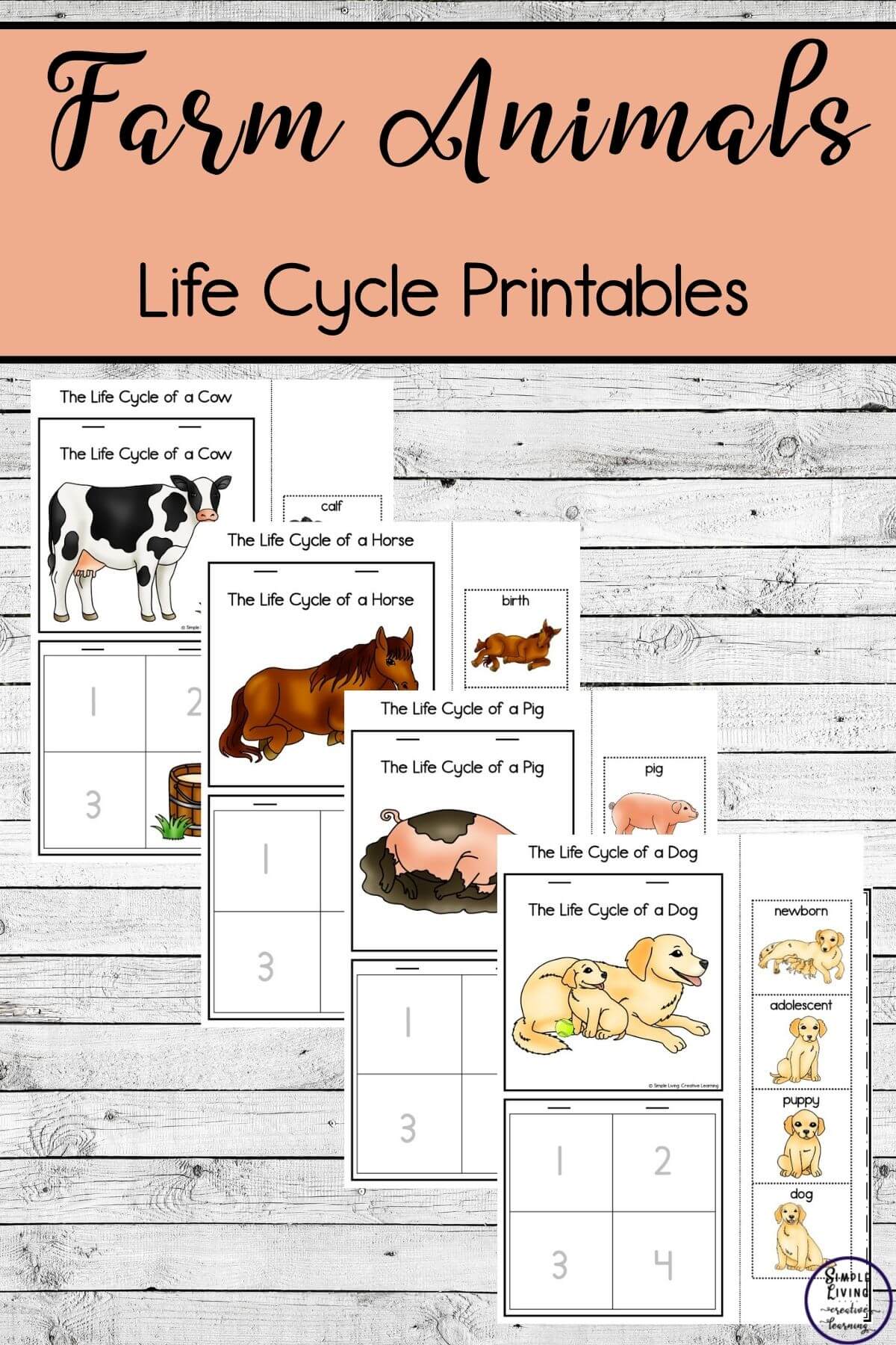 Farm Animals Life Cycle Printables