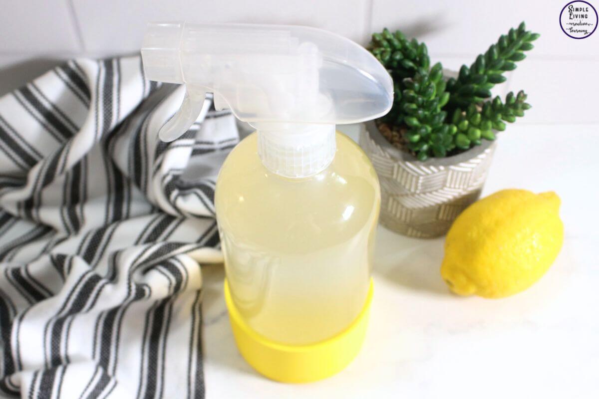 homemade degreaser spray ready to use